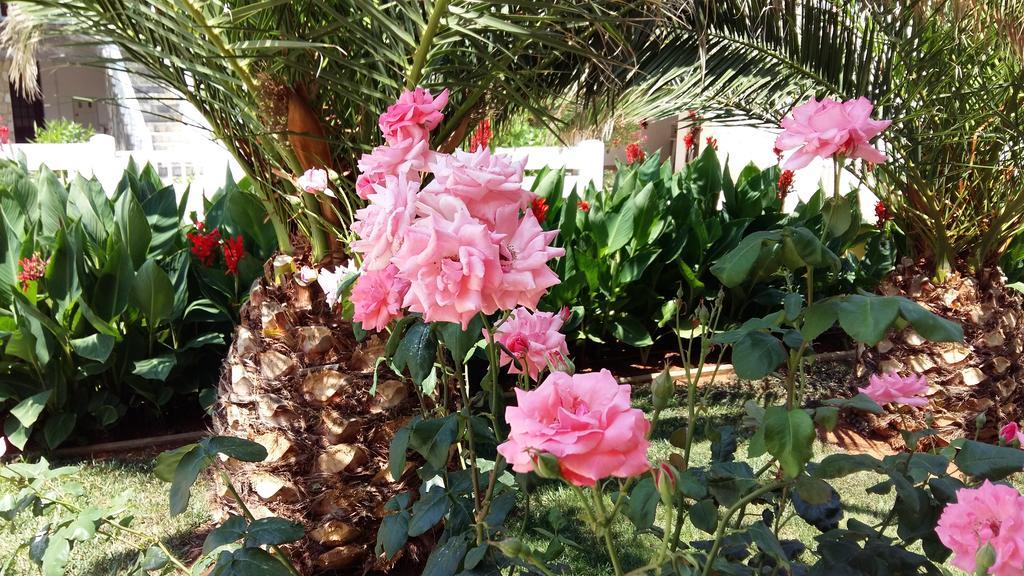 Apartments Vila Ana Vir Εξωτερικό φωτογραφία
