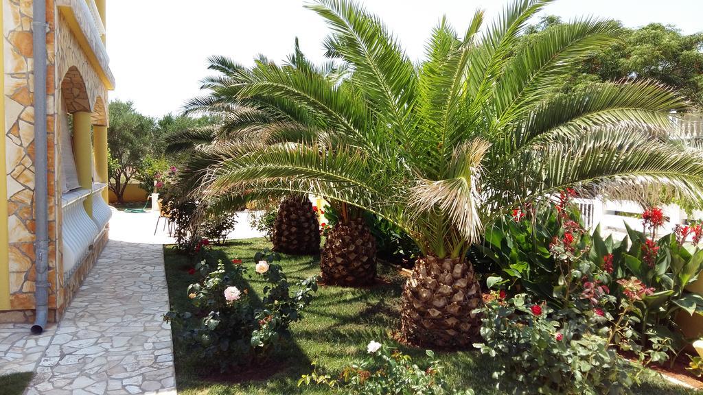Apartments Vila Ana Vir Εξωτερικό φωτογραφία