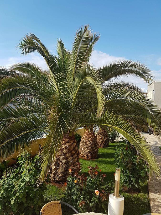 Apartments Vila Ana Vir Εξωτερικό φωτογραφία